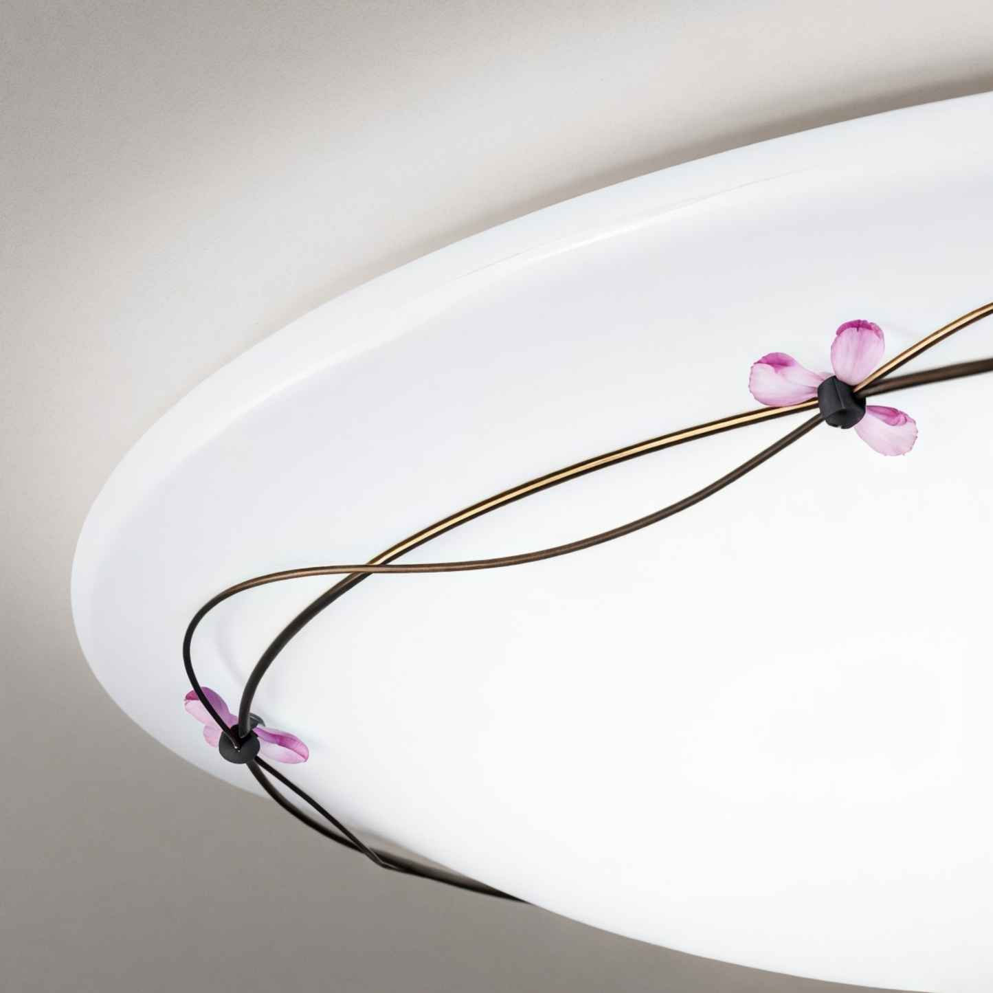 Hoa -Hana- ĐÈN TRẦN